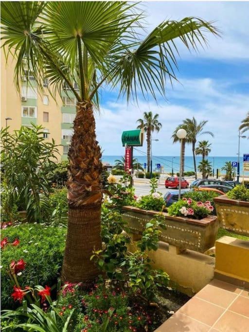 Apartment Beachfront Madrid 709